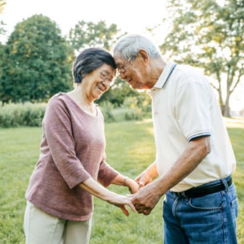 Companionship